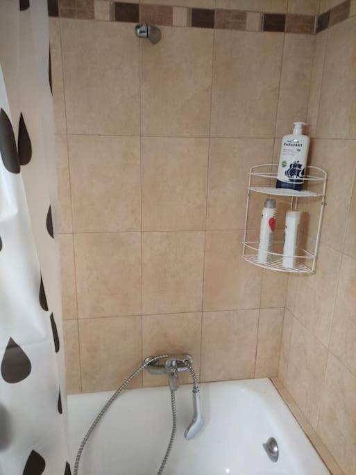 Το Σπίτι Της Περσεφόνης Apartment Athens Ngoại thất bức ảnh
